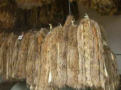 ANIMAL FUR